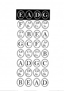 Bass Fret Pattern